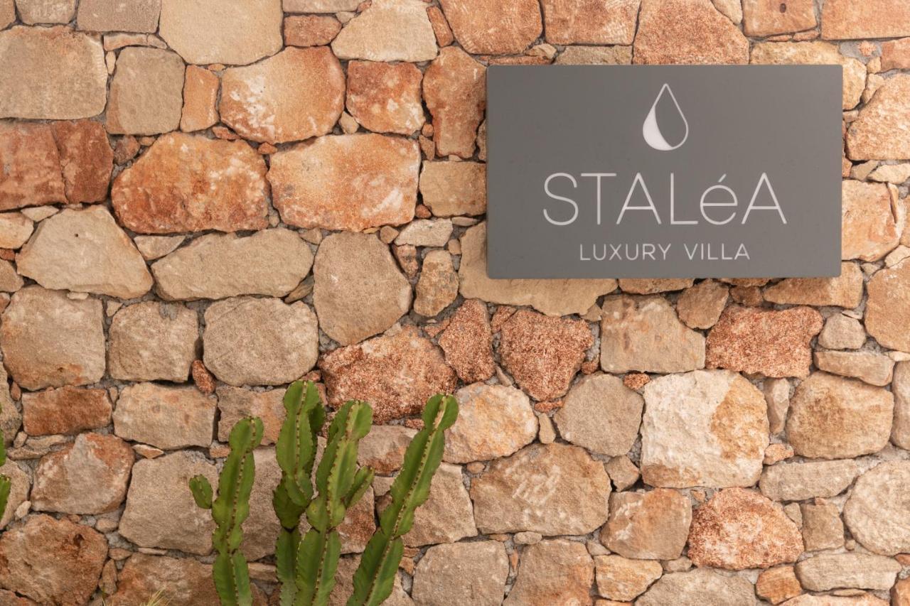 Stalea Luxury Villa Pefki  Ngoại thất bức ảnh